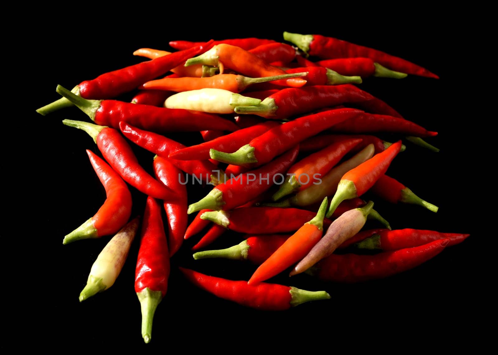 Chili,Capsicum is a spicy spice plant. Chili,Capsicum is a hot spice plant.