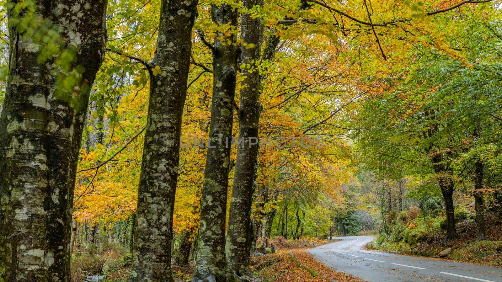 Autumn landscape at Geres National Park, Portugal