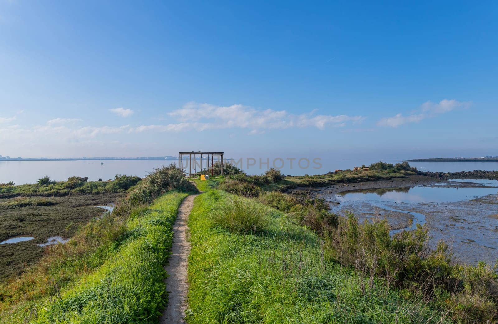 Tagus morning with fog, in Moita, near Lisbon, Portugal