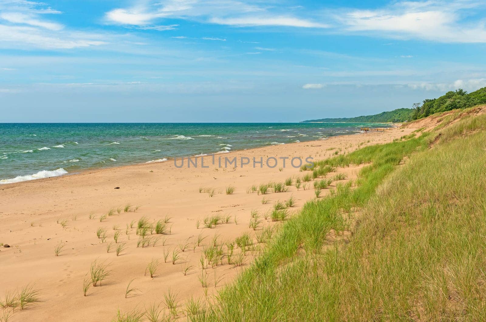 Beach Grasses on Dunes on a Sandy Beach on Lake Michigan Near Montague, Michigan