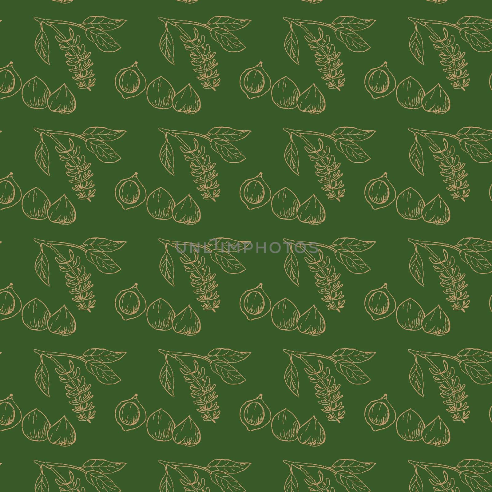 Golden seamless background of Macadamia nuts on branch. Vector illustration on black background. Can used for wrapping paper, beauty cosmetic background.