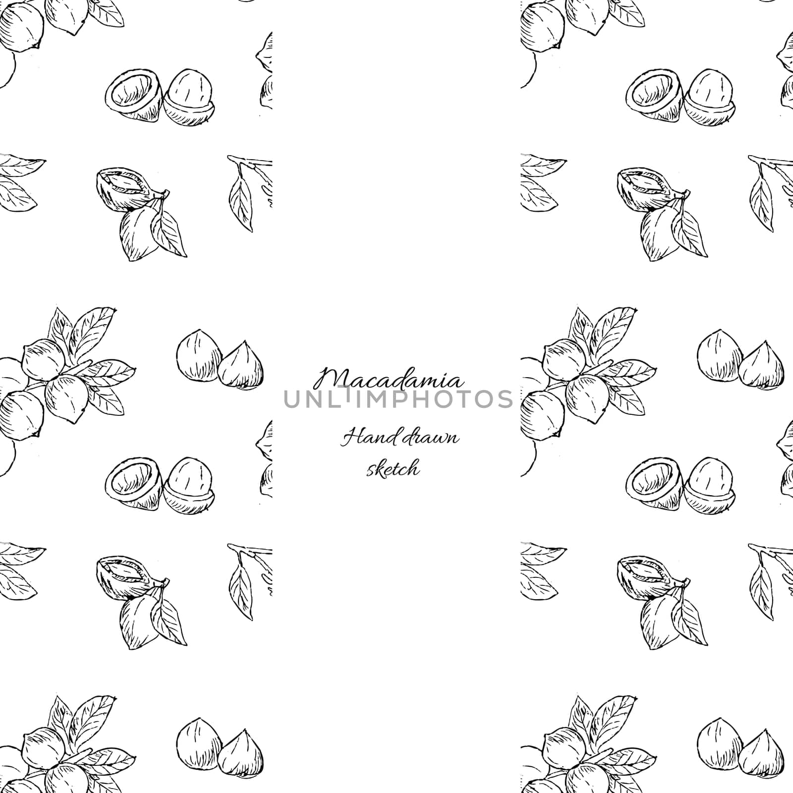 Outline cover wrapping template of Macadamia nuts product. Vector illustration can used for cosmetic or food goods.