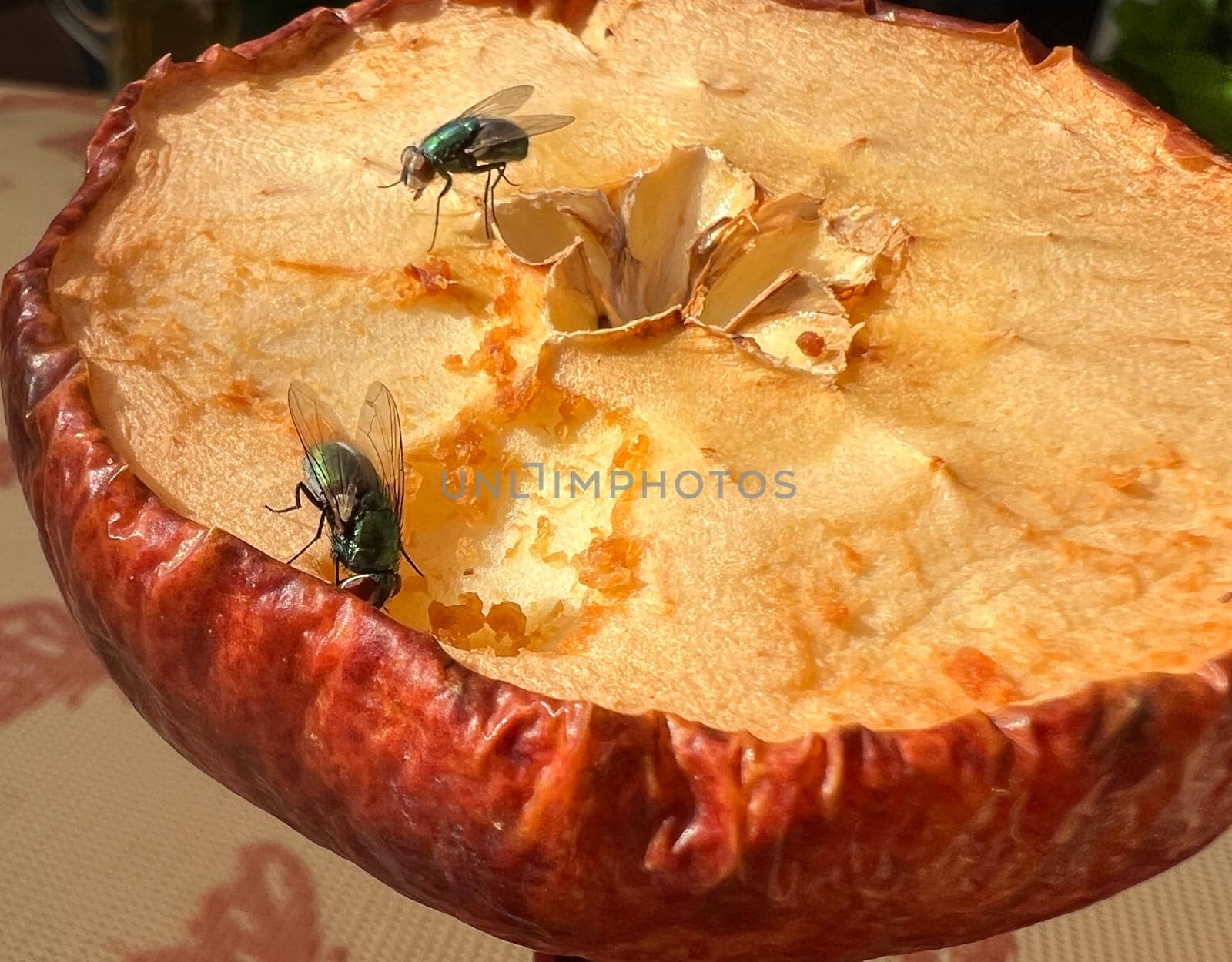 Blowflies,Calliphora,vicina,which crawl over the skin,are not only annoying,but also unhygienic. Blowflies,Calliphora,vicina,crawling over the skin are not only annoying but also unhygienic