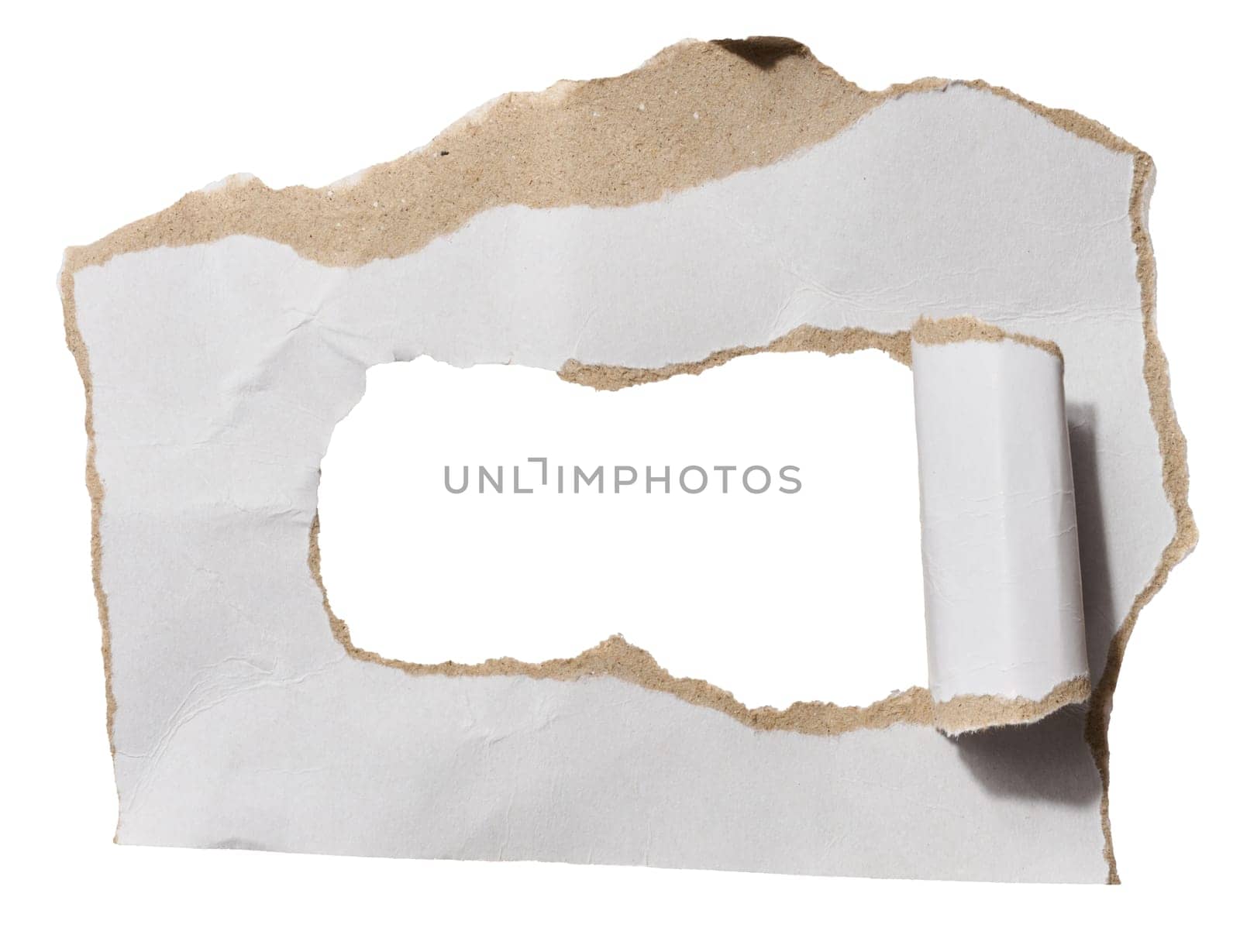 Torn piece of white cardboard with torn edges on an isolated background, copy space