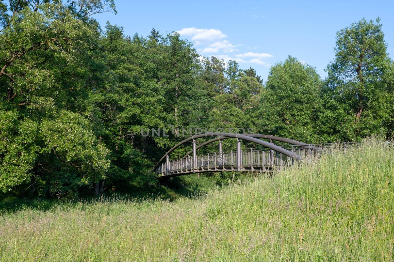 A pedestrian bridge over the Eder river in Germany, with green nature