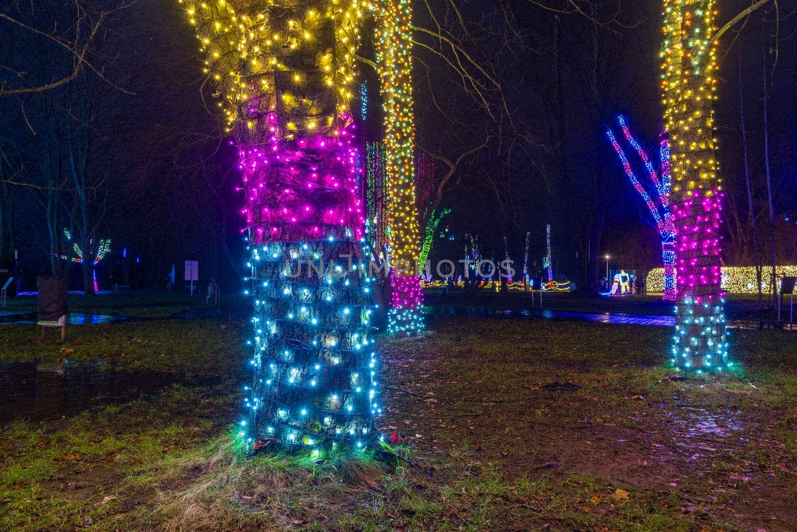 KRAKOW, POLAND - DECEMBER 25, 2023: Smurfs exhibition in the Garden of Light during Christmas time