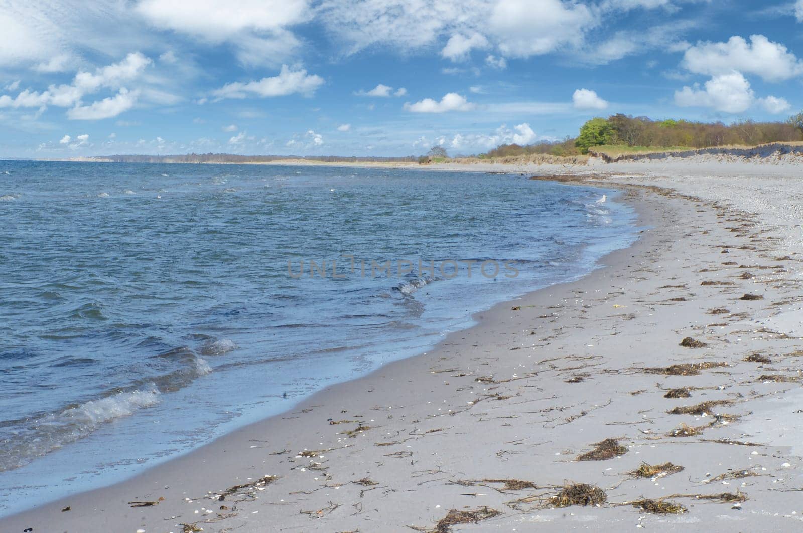 On the beach of Zingst in a bay. White sand in front of the blue Baltic Sea. Small white clouds in the sky and some forest in the background. Landscape shot