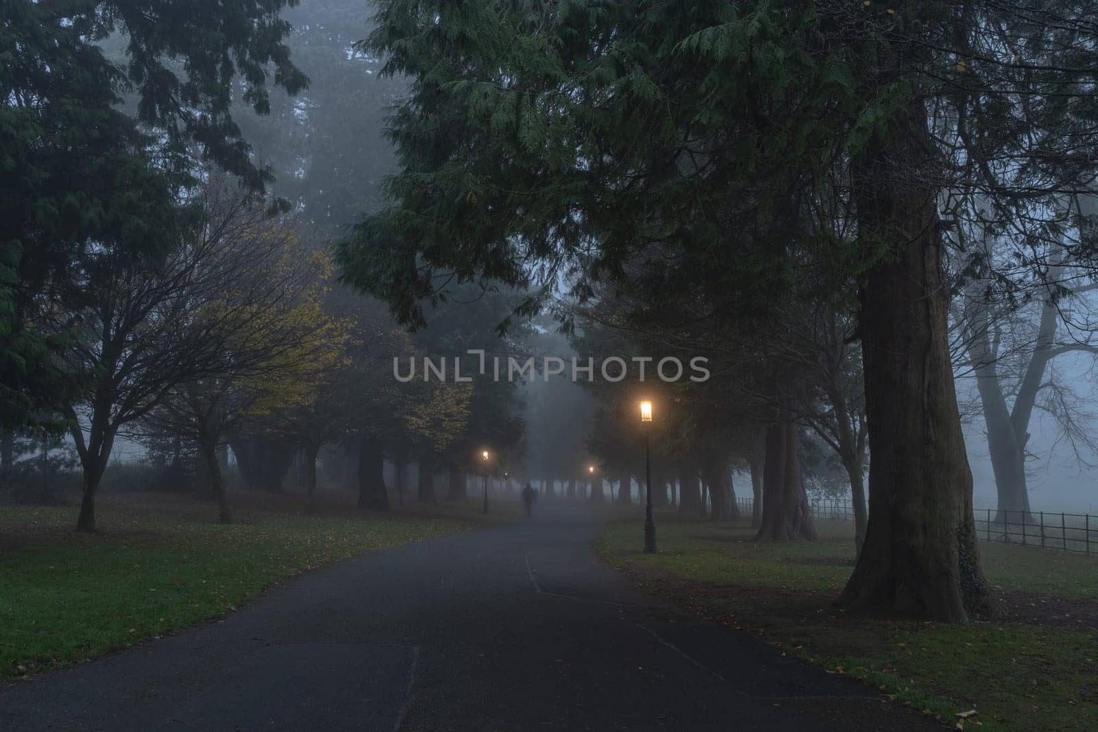 Blurred people in the fog, on road surrounded by trees and illuminated by vintage street lamps, Farmleigh Phoenix Park. Moody evening, Dublin, Ireland