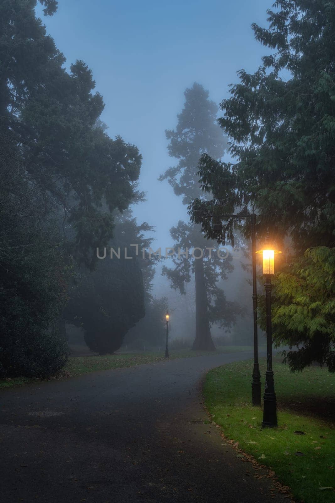 Winding road surrounded by trees and illuminated by vintage street lamps in Farmleigh Phoenix Park. Moody, atmospheric fog in evening, Dublin, Ireland