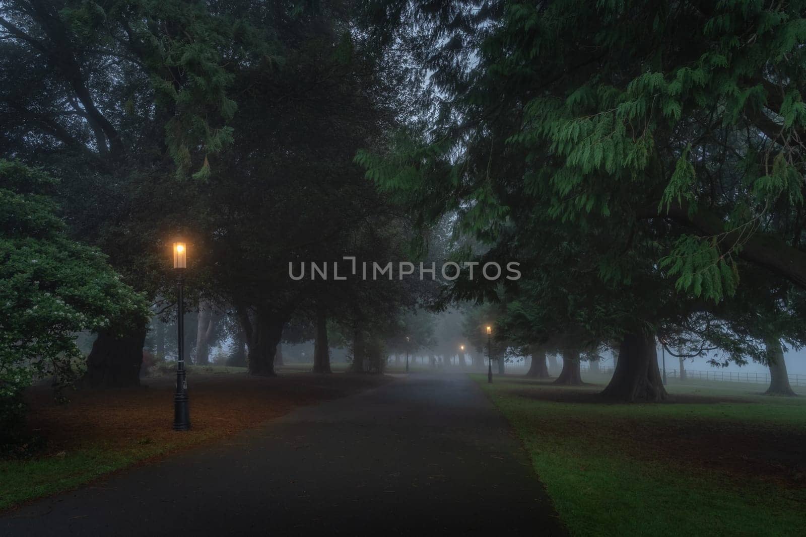 Blurred people in the fog, on road surrounded by trees and illuminated by vintage street lamps, Farmleigh Phoenix Park. Moody evening, Dublin, Ireland