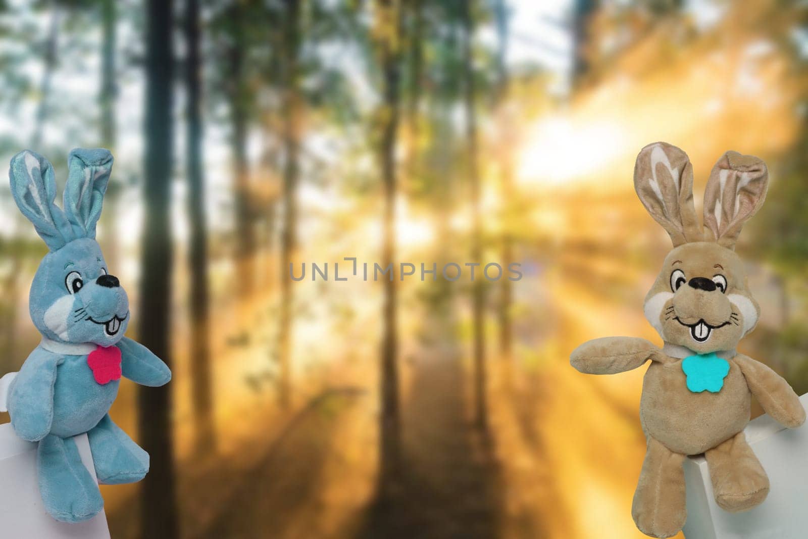 Easter greeting card template. Two cute colorful plush bunnies or rabbits with bow tie on gift boxes over a abstract blurred sunny forest with copy space.