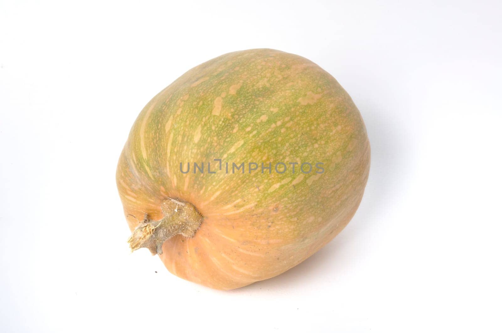 Squash on a white background