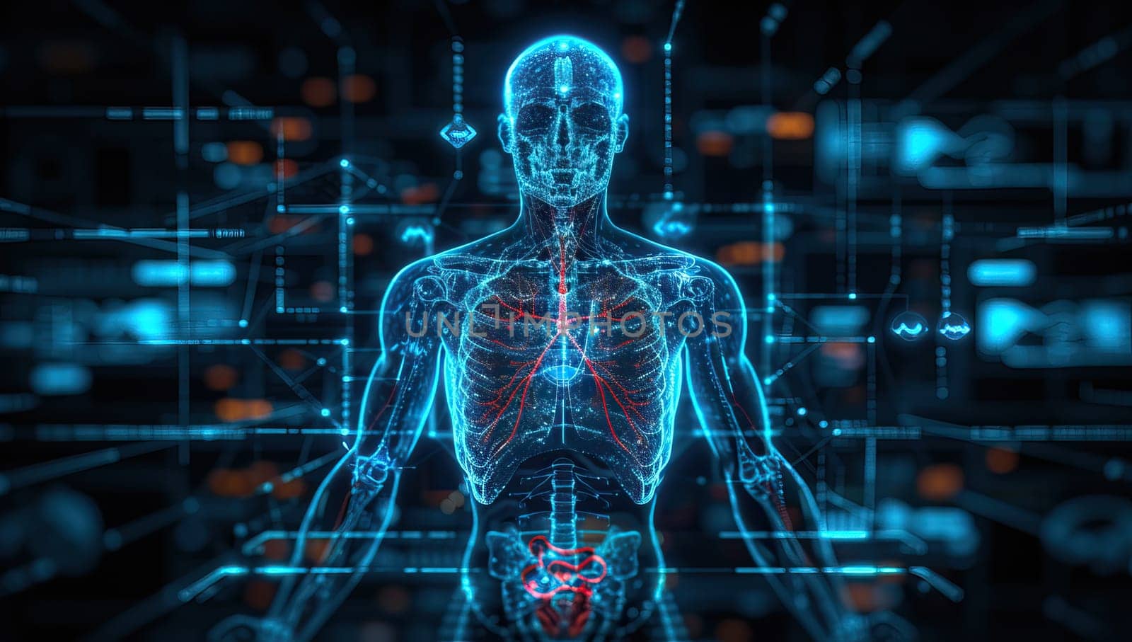 X ray view of human body with highlighted circulatory system