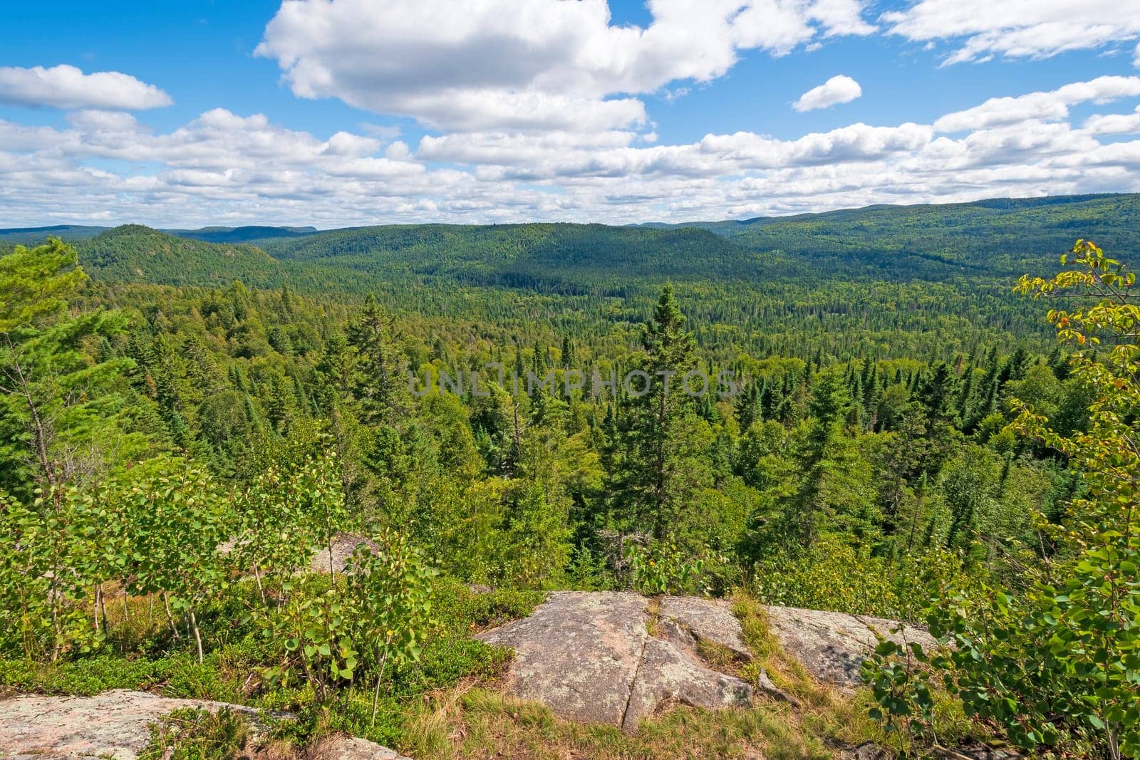 North Woods Panorama Along the Nokomis Trail in Lake Superior Provincial Park in Ontario