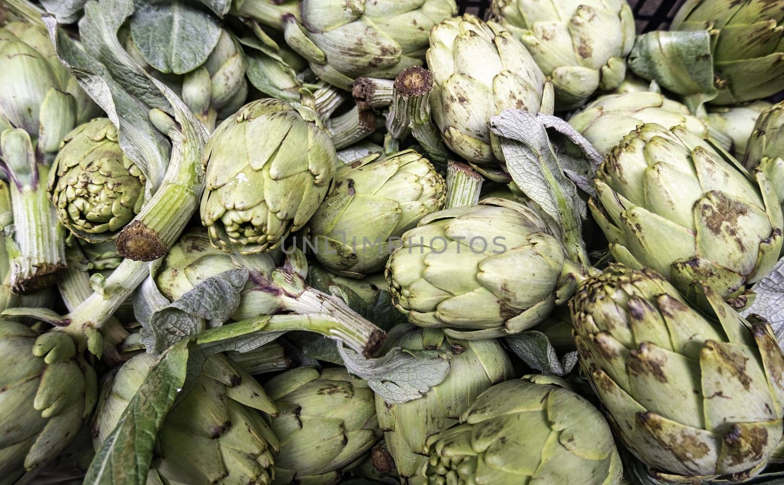 Detail of fresh and healthy vegetables, diet food, vegan