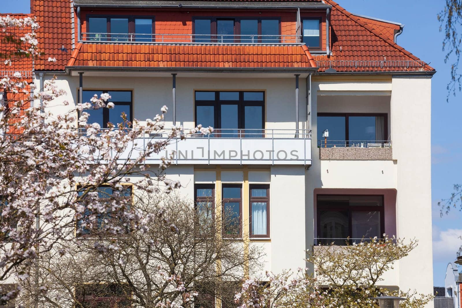 Residential building in spring with magnolia blossom, apartment building, Bremen, Germany