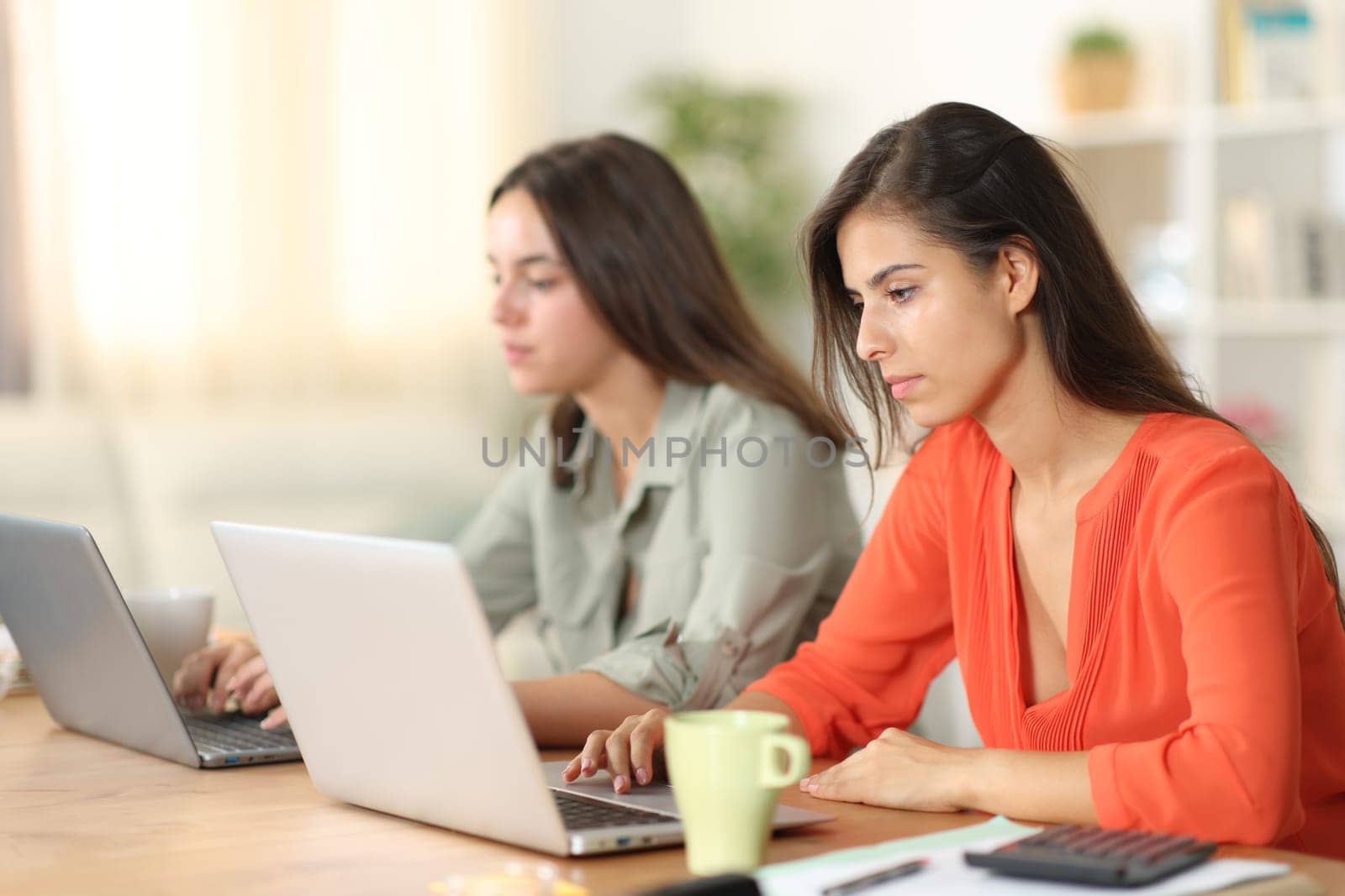 Two freelance workers working online together at home
