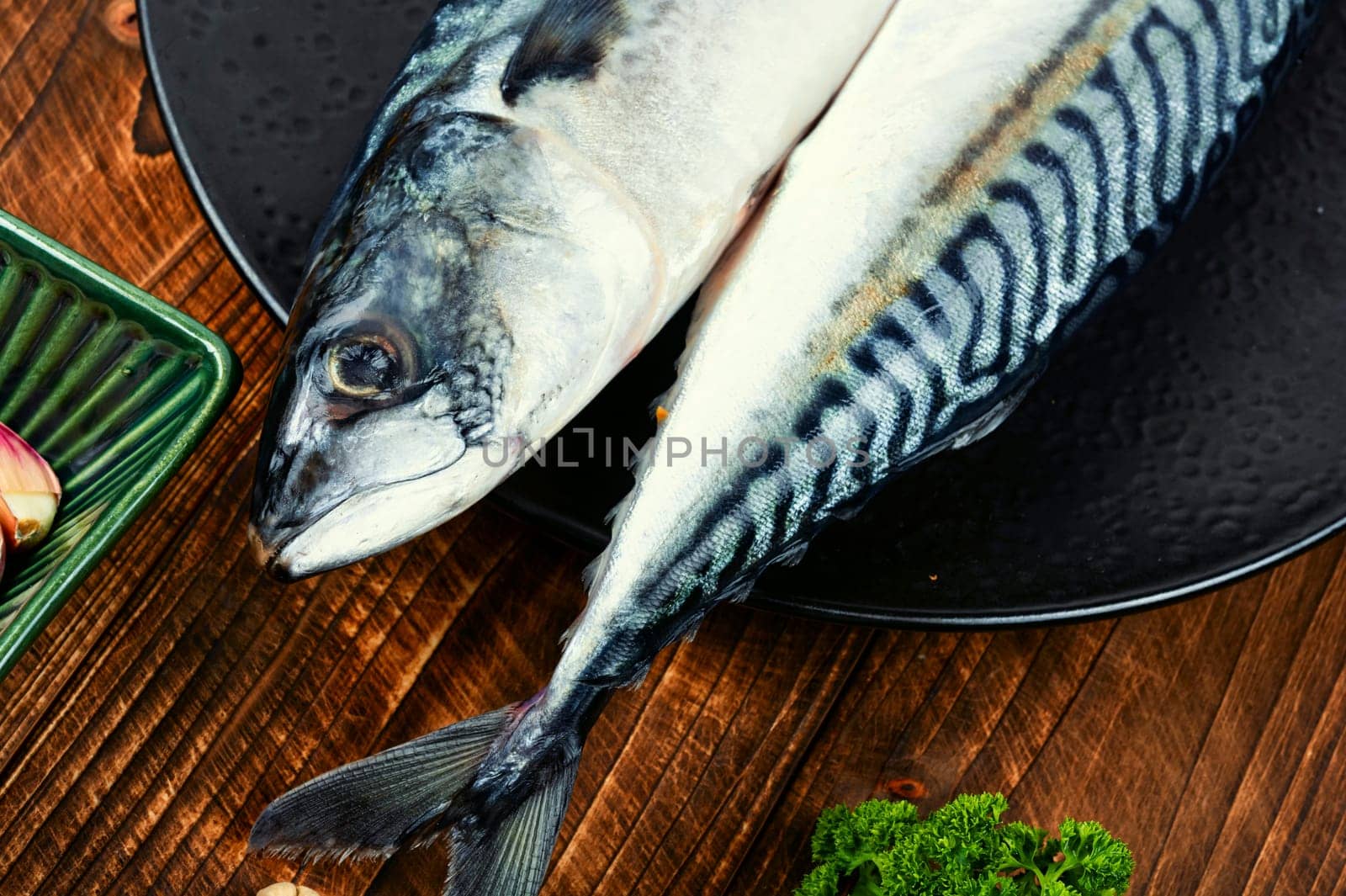 Fresh mackerels and ingredients on light gray table. Preparing mackerel fish to cook.