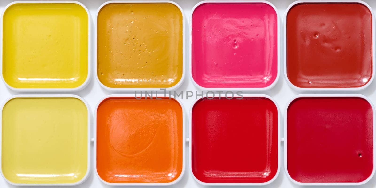 Watercolor paint palette, object for drawing and creativity, cells