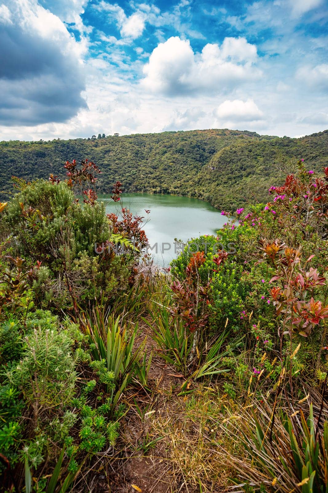 Lake Guatavita (Laguna Guatavita) located in the Cordillera Oriental of the Colombian Andes. Sacred site of the native Muisca Indians. Cundinamarca department, Colombia wilderness landscape.
