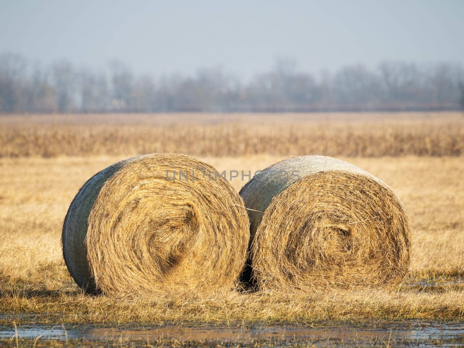 closeup of 2 hay rolls in field