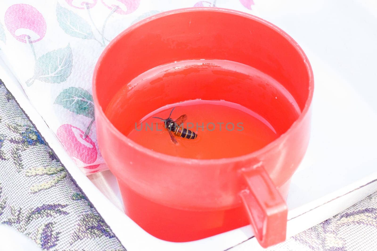The wasp who fell in a mug with water. Dangers to insects.