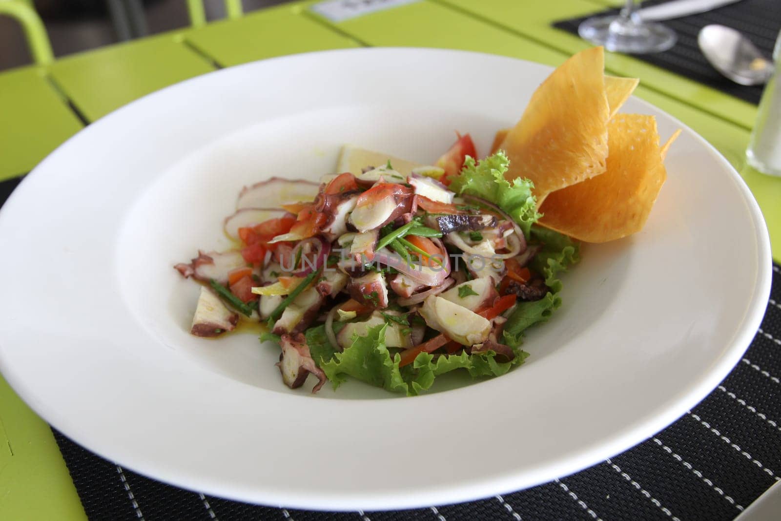 Restaurant menu. Dishes which give at restaurants. Salads, second courses, pizza and other.