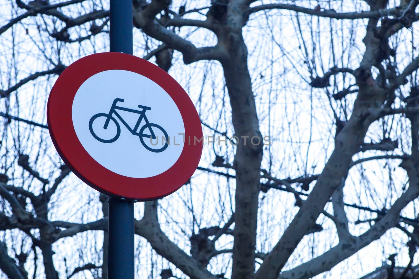 Bicycles prohibited sign. Regulation banning bikes at gardened pedestrian areas
