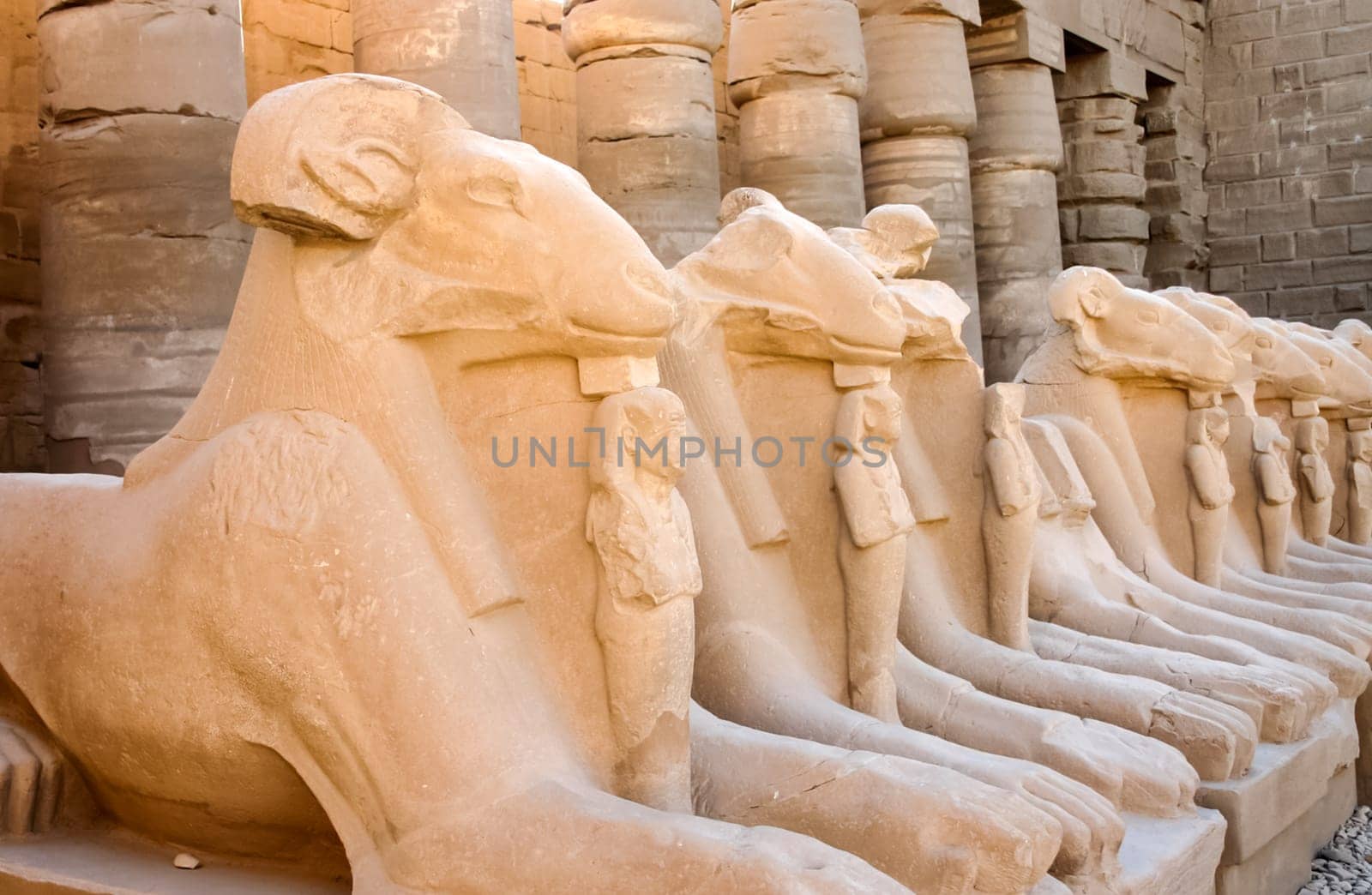 Architectural heritage of ancient Egyptian civilization. Ruins and statues of ancient Egypt.