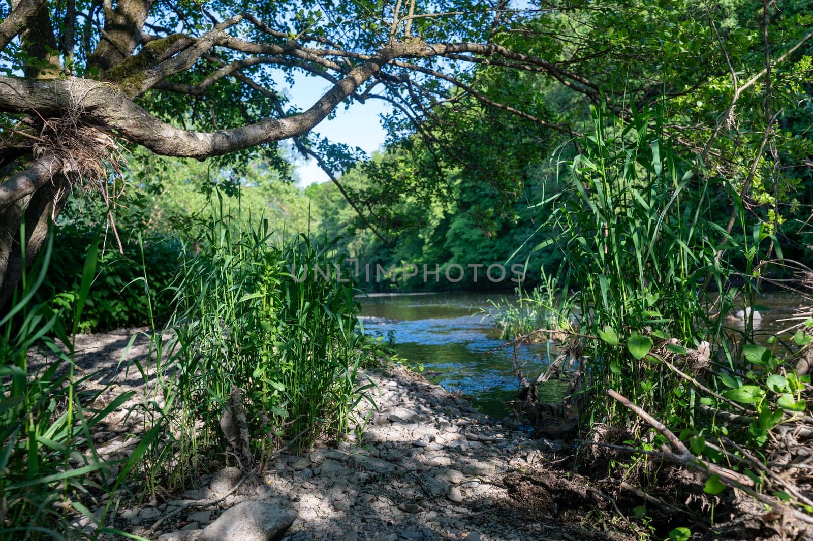The Eder - A river in Germany in a green landscape