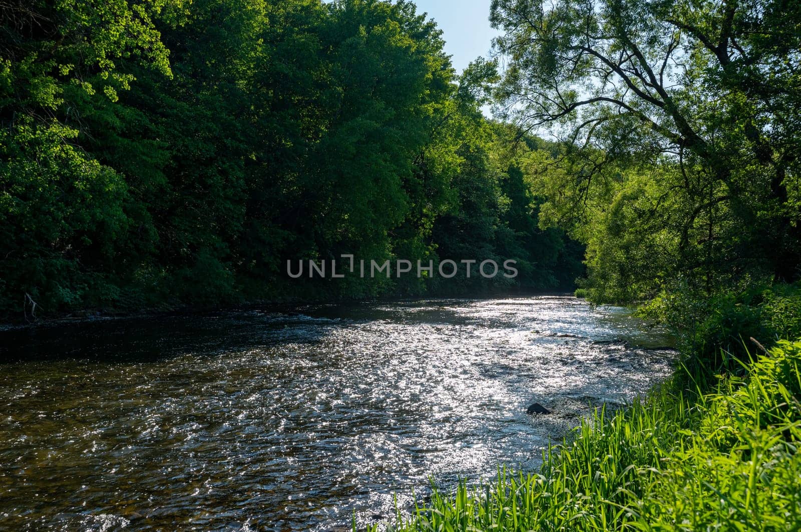 The Eder - A river in Germany in a green landscape
