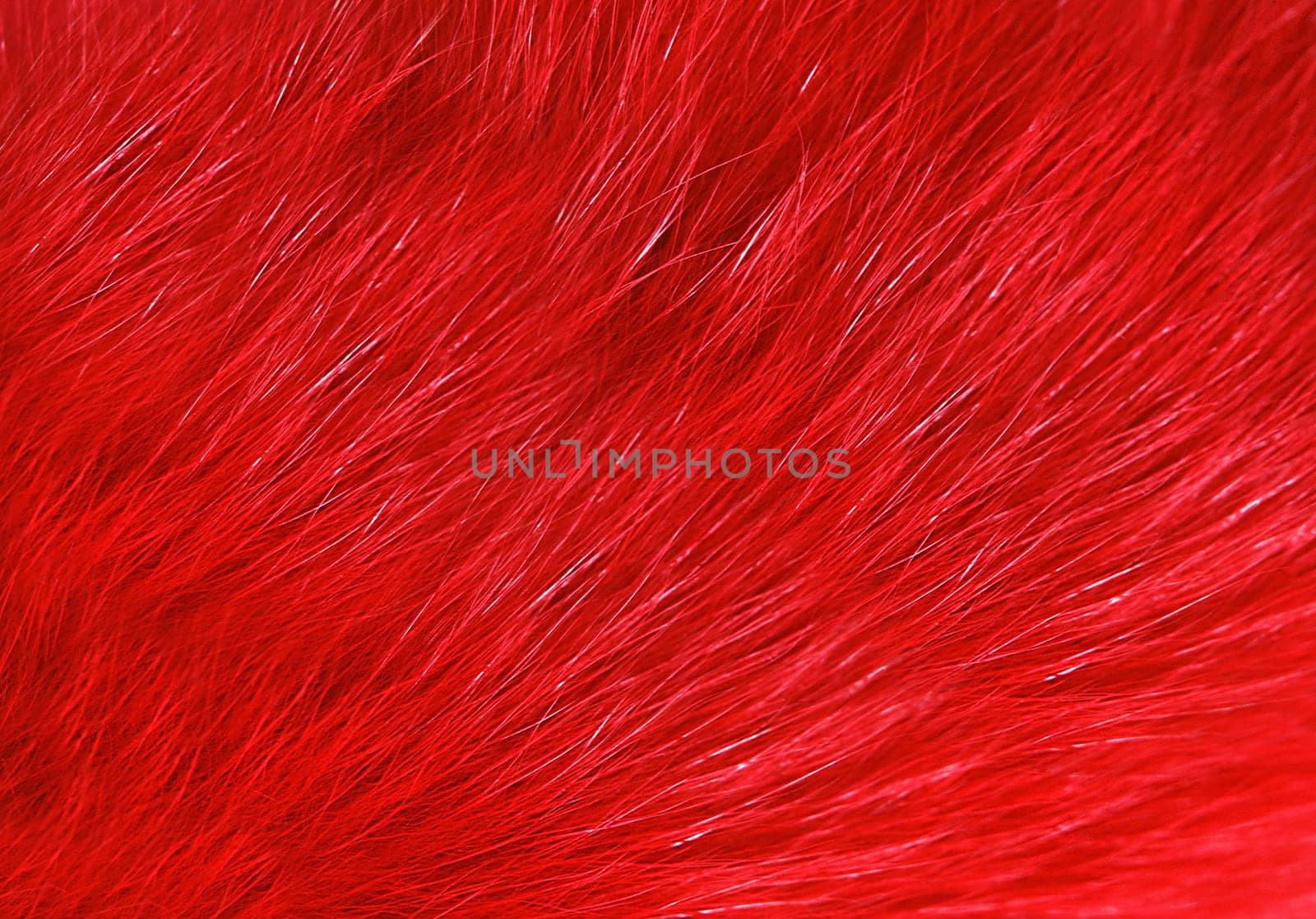 Long-haired faux fur is colored red top view. Texture or background