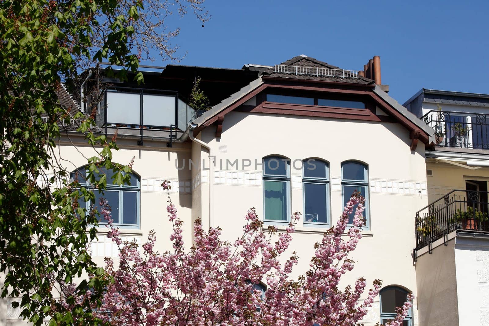 Old residential building in spring with magnolia blossom, apartment building, Bremen, Germany