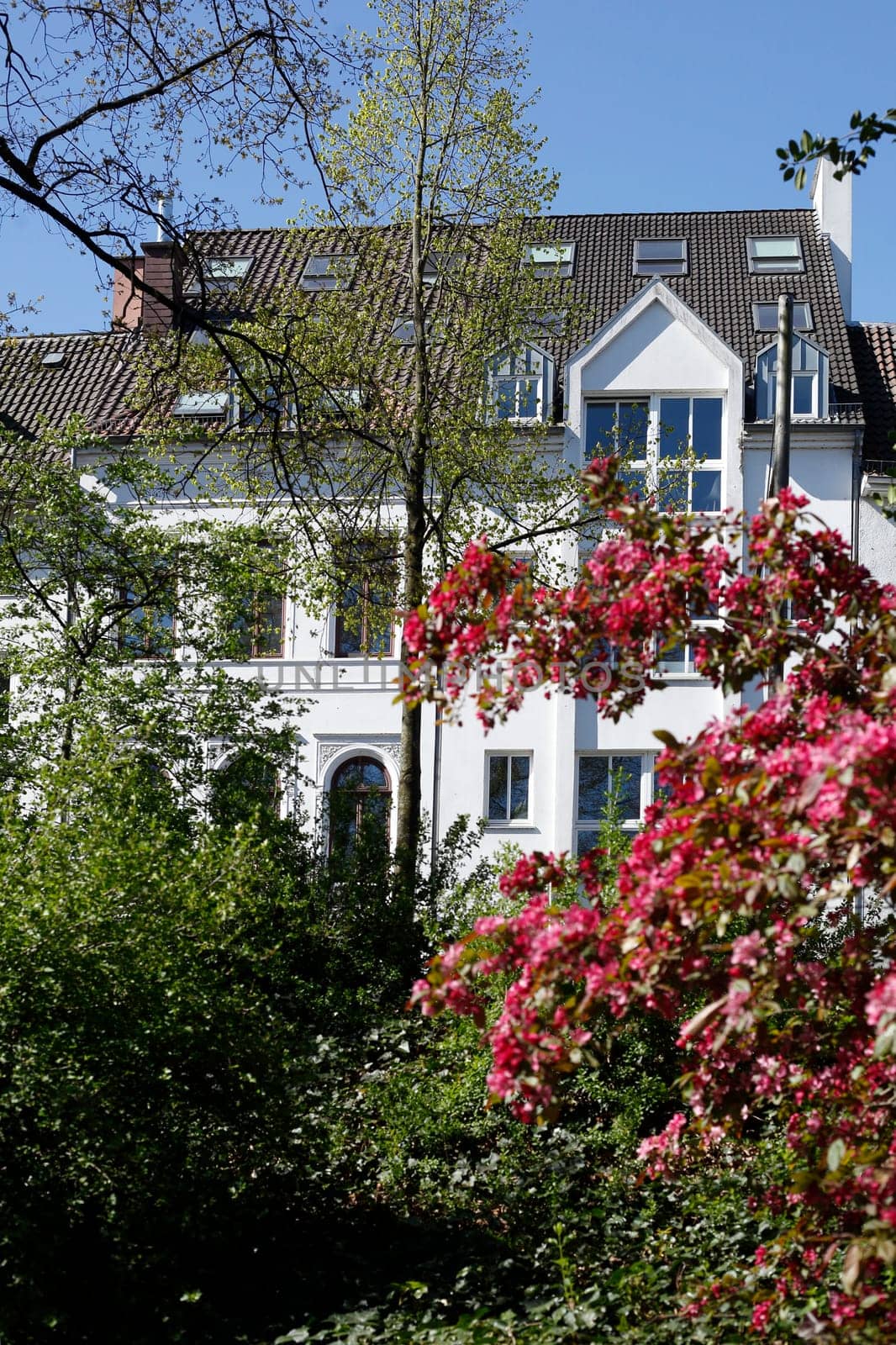 Residential building in spring, apartment building, Bremen, Germany