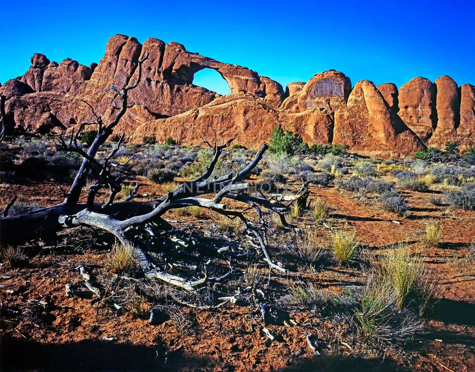 Rock formations in Arches National Park, Utah