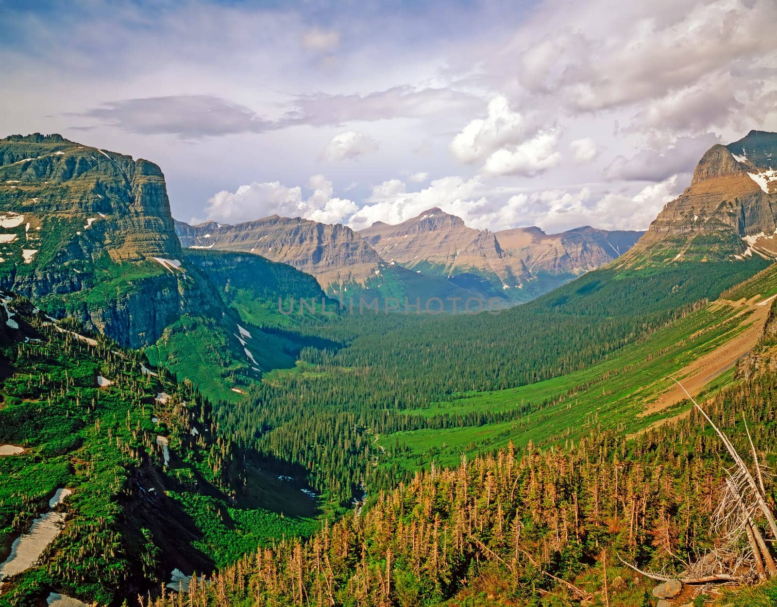 View of a Valley in Glacier National Park, Montana