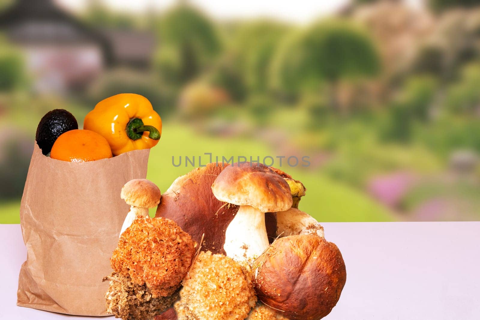 Various types of edible forest mushrooms such as porcini, parasols and a brown paper bag full of fresh healthy vegetables on table over a blurred natural garden. Health concept.