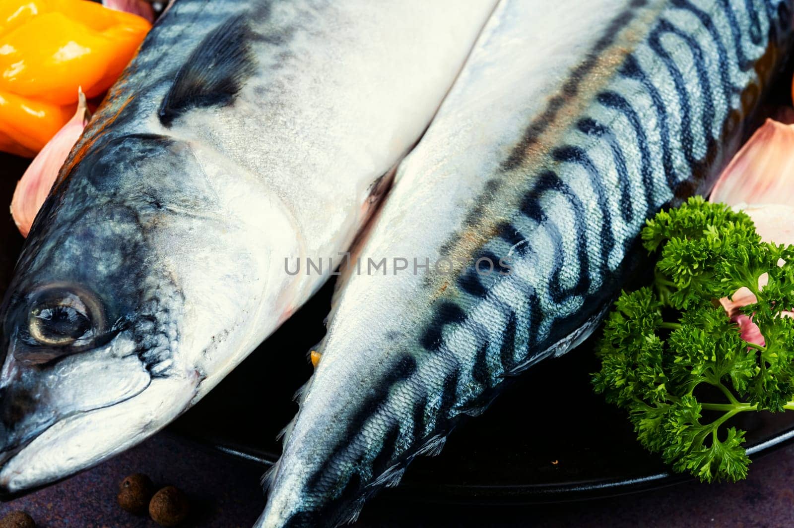 Fresh whole mackerels fish and ingredients for cooking. Raw fish served on a black plate. Flat lay