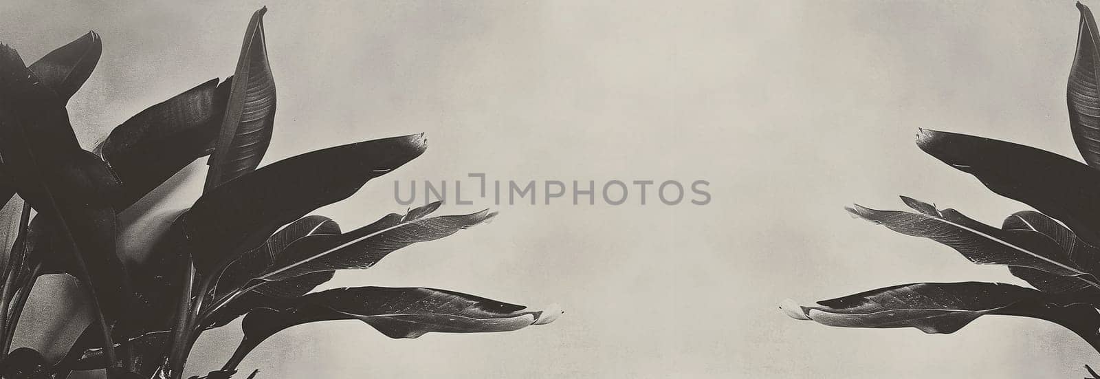 Tropical leaves monochrome effect. Background with dark tropical leaves, fresh flat background. Flat lay. Jungle nature concept artistic copy space