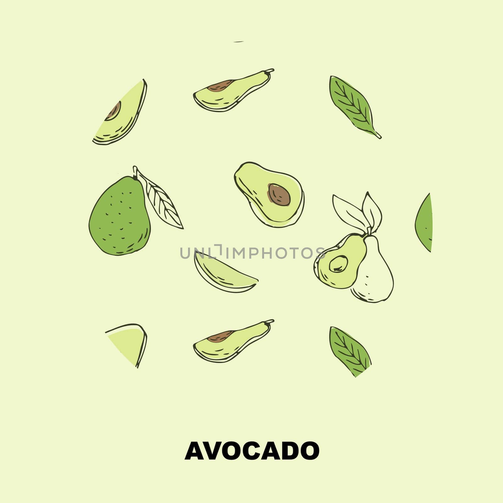 Sketch drawing banner of avocado, outline avocado and half, sliced fruit and seed. Vector illustration can used for wrapping paper, banner and cover design.