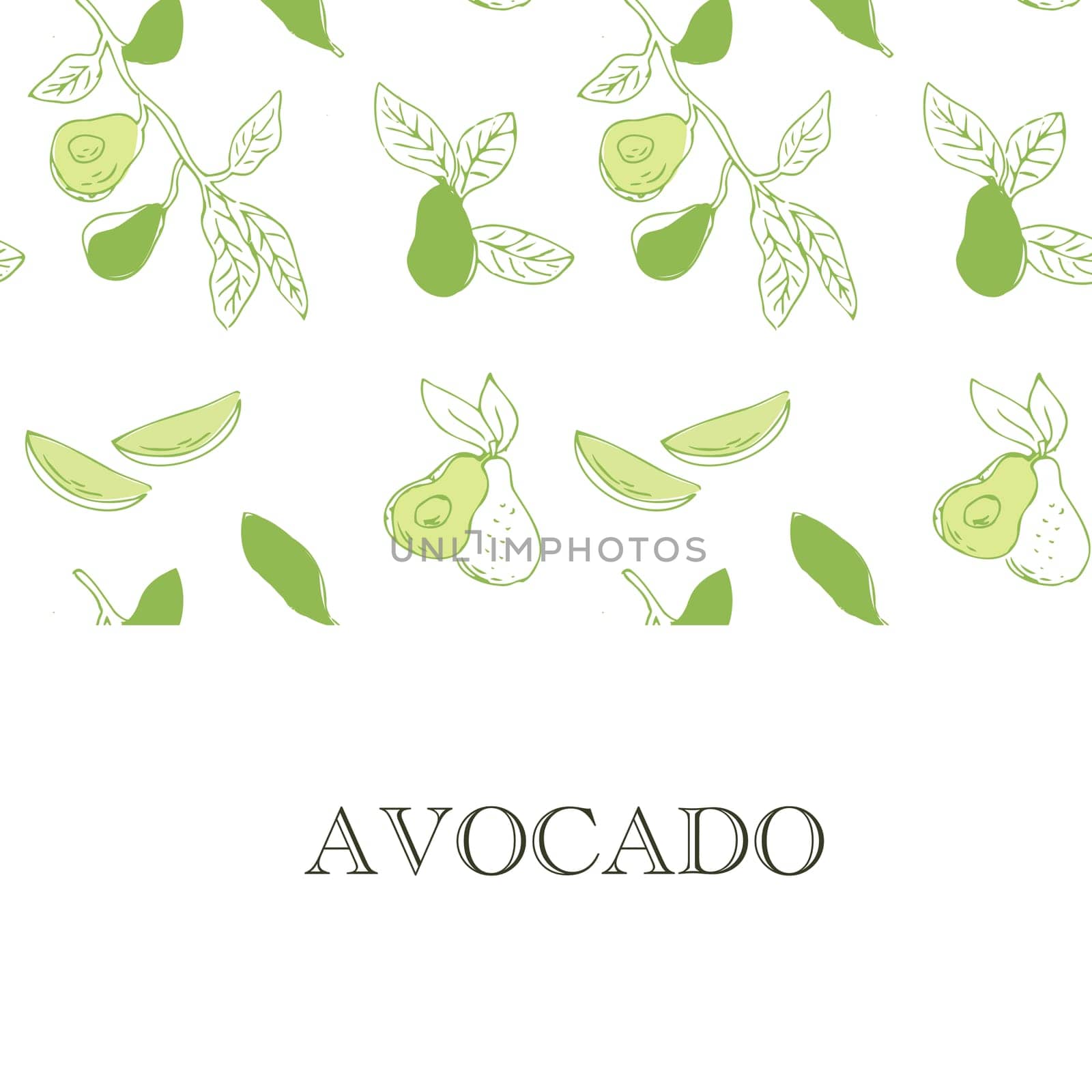 Avocado square banner in color. Whole avocado, sliced pieces, half, leaf and seed sketch.