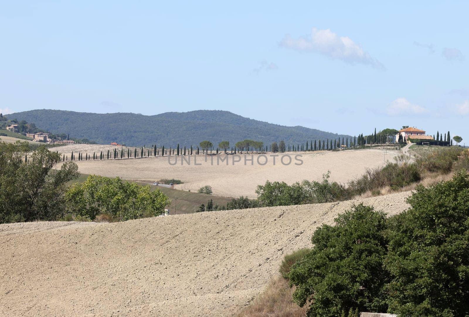 The rural landscape near San Quirico in Tuscany. Italy