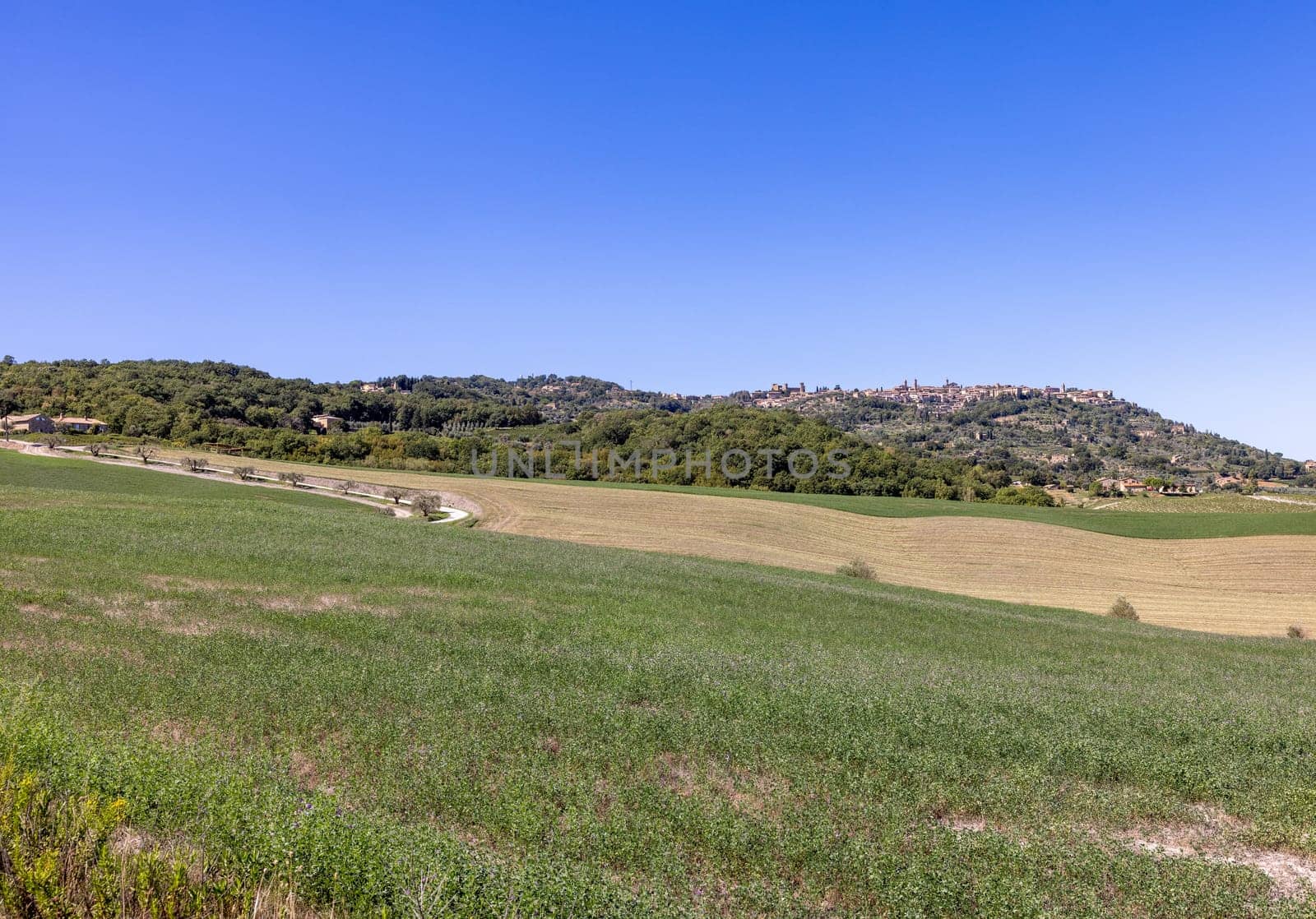 The rural landscape near Pienza in Tuscany. Italy