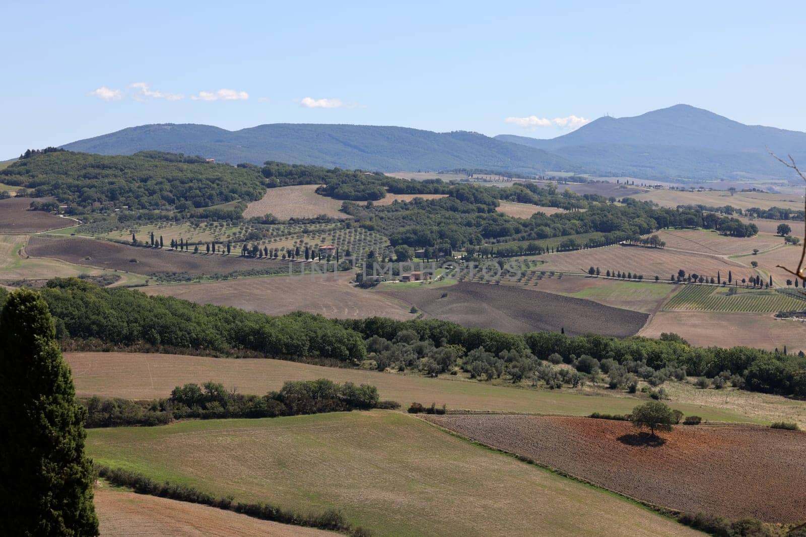 The rural landscape near Pienza in Tuscany. Italy