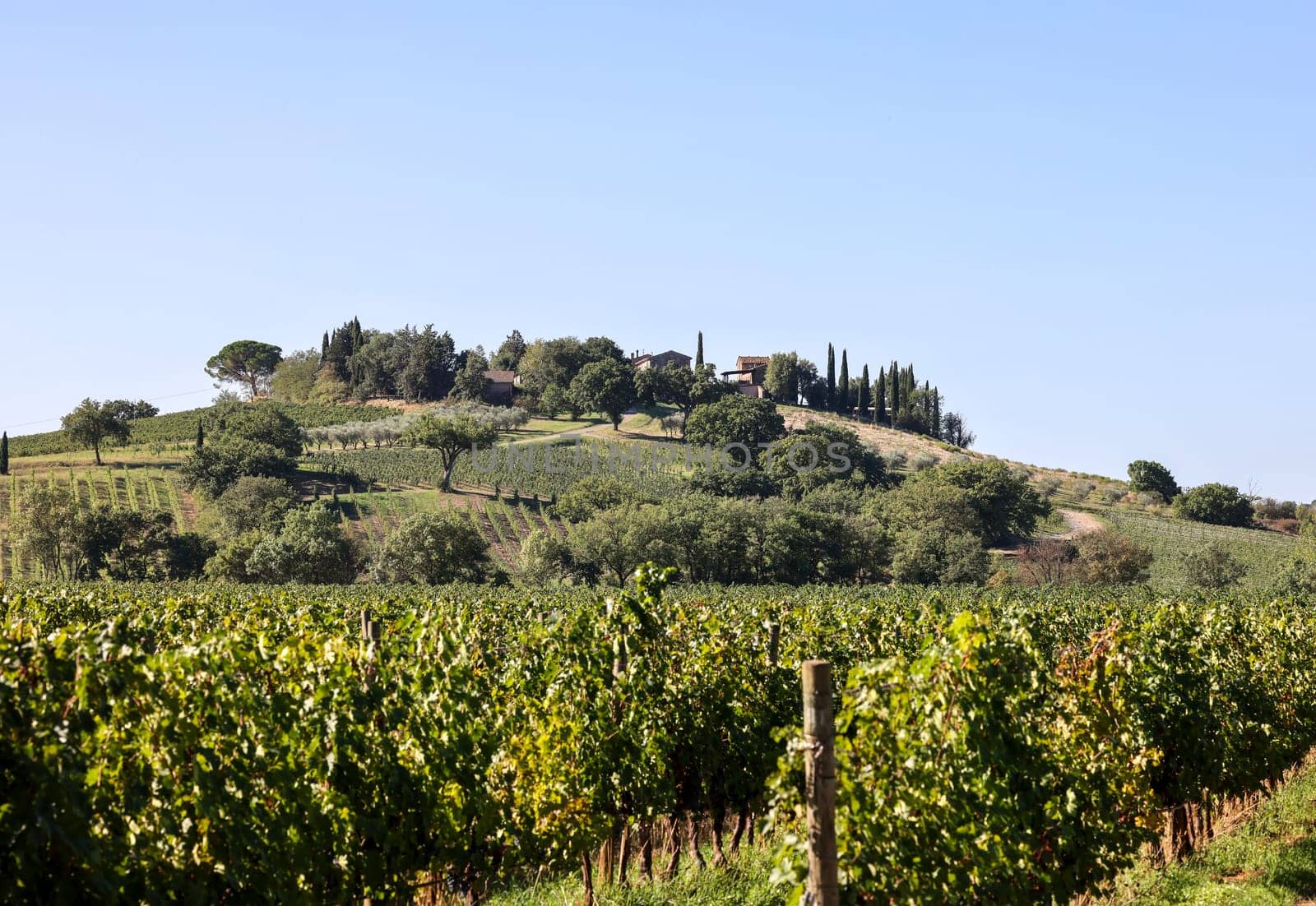The rural landscape near Pienza in Tuscany. Italy