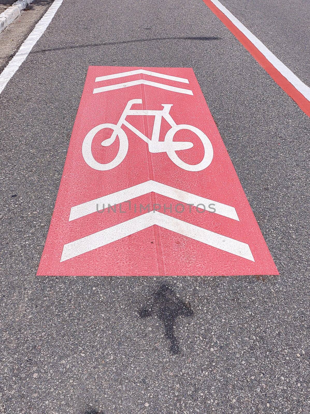 Painting in red and white, symbol for a cycle lane exclusively for bicycles, in an urban center next to the avenue.