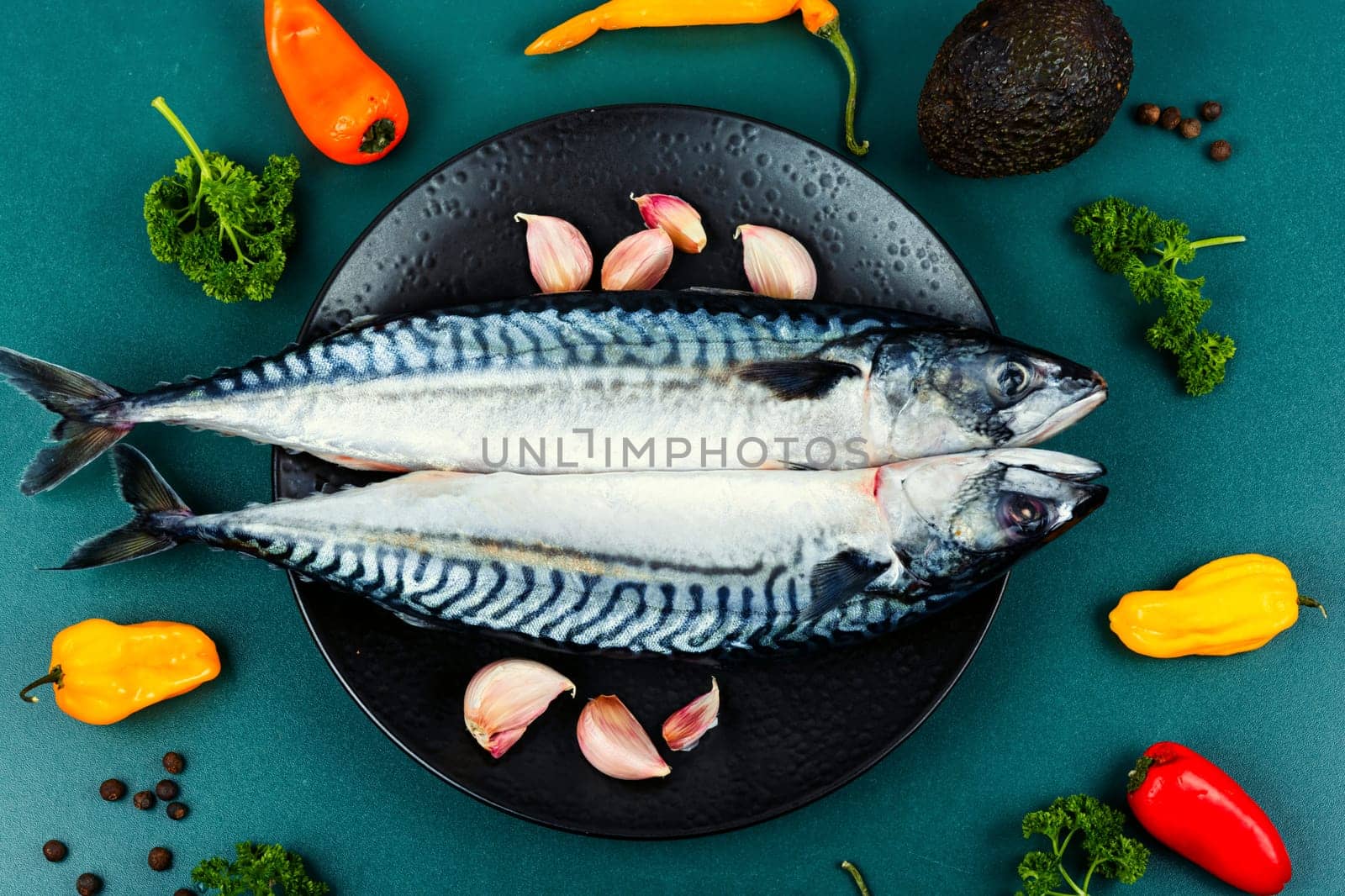 Two fresh mackerels or scomber and ingredients for cooking. Raw fish on old rustic wooden table.