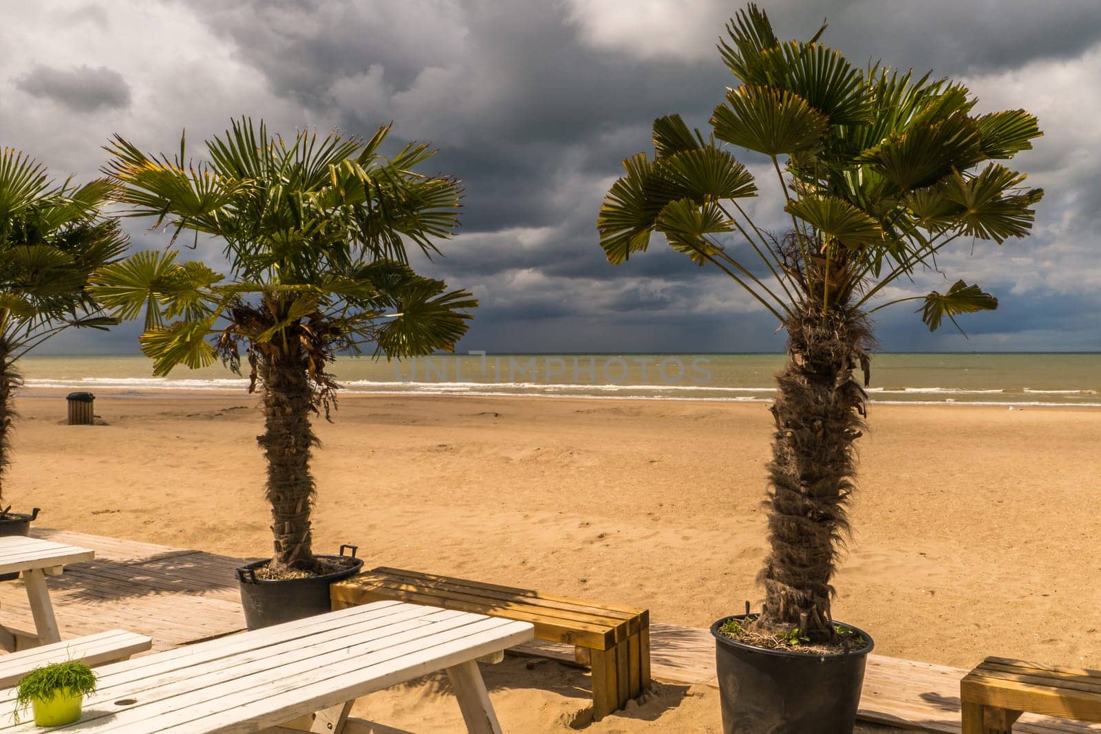 Tropical feeling at the beautiful  sand beach of Ostend in Belgium at the North Sea