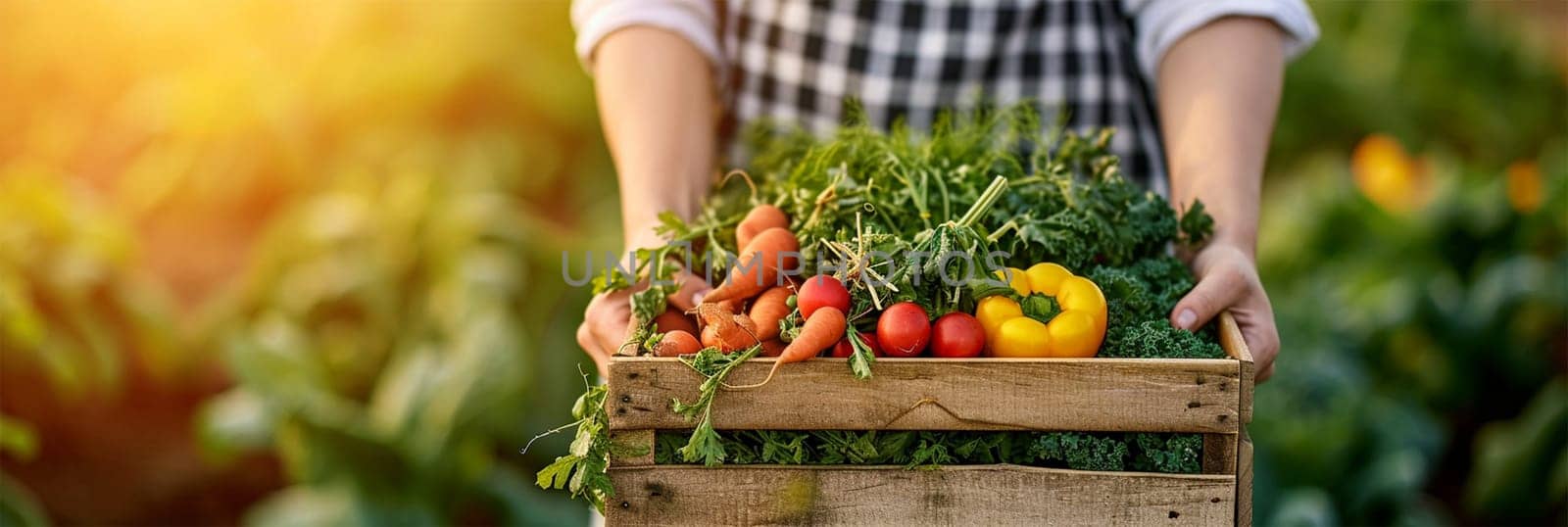 farmer's female hands hold a wooden box with fresh vegetables. Harvest field .