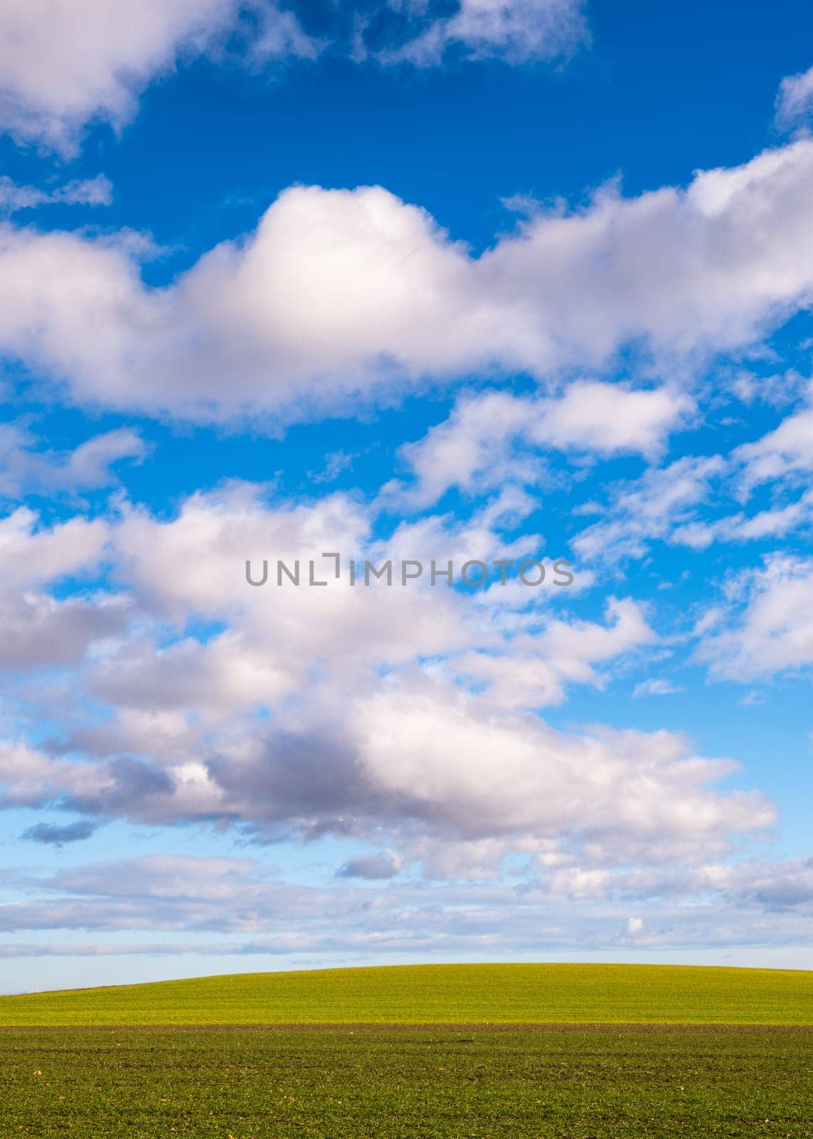Green field and light blue sky with white cloud